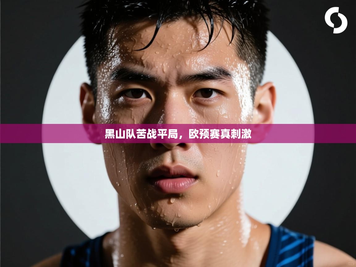 黑山队苦战平局,欧预赛真刺激 第1张